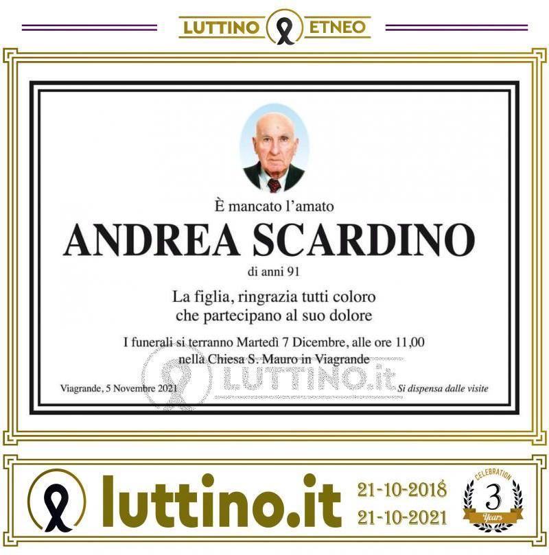 Andrea  Scardino 